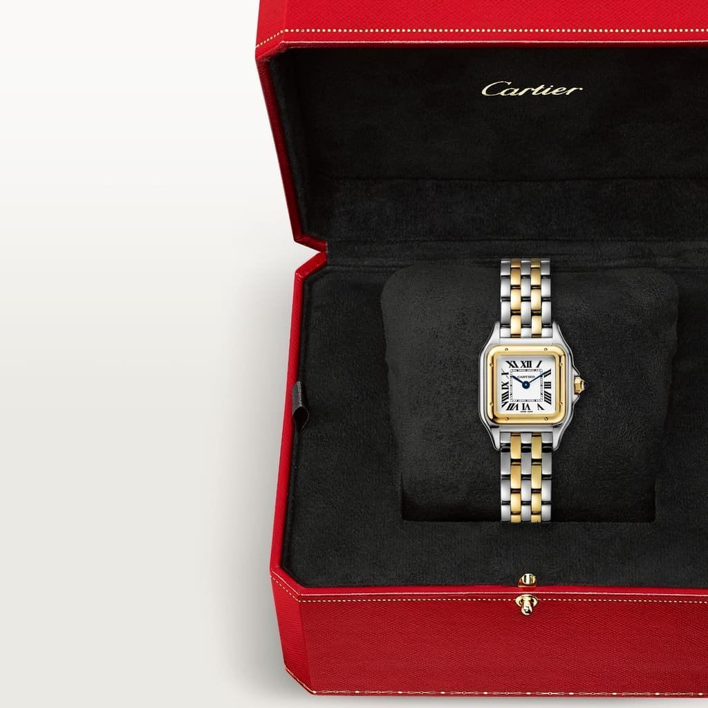 10001-1.jpeg Panthère de Cartier Small Model - Image 1