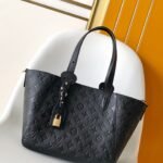 Louis Vuitton M25858 All In One PM
