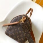 Louis Vuitton N87212 Speedy Soft 30 Boho