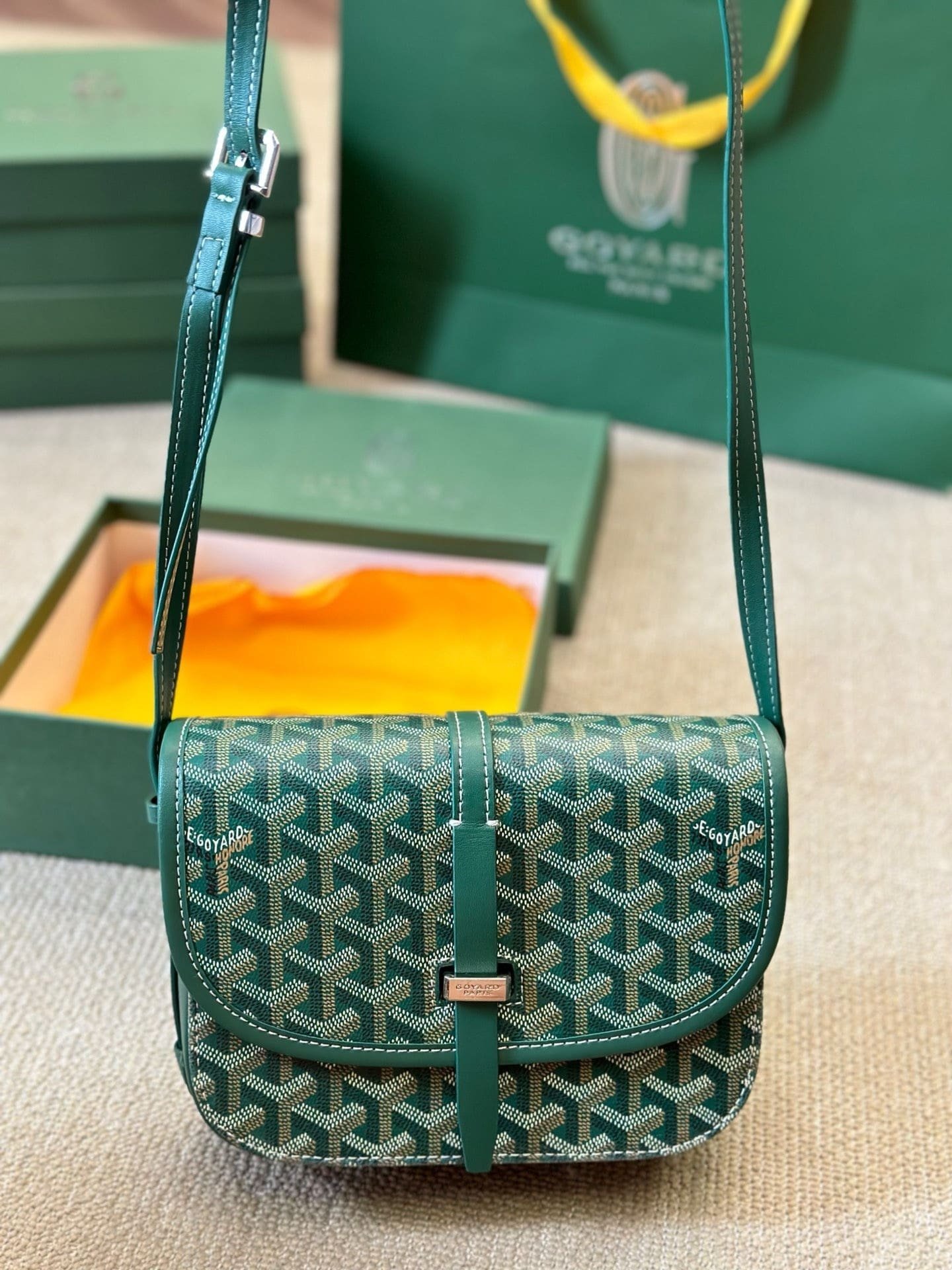 IMG_8795.jpg Goyard Belvedere PM Bag - Image 1