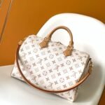 Louis Vuitton M15108 Speedy Soft 30 Lucky