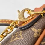 Louis Vuitton M27096 Solo