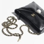 Chanel Clutch with chain